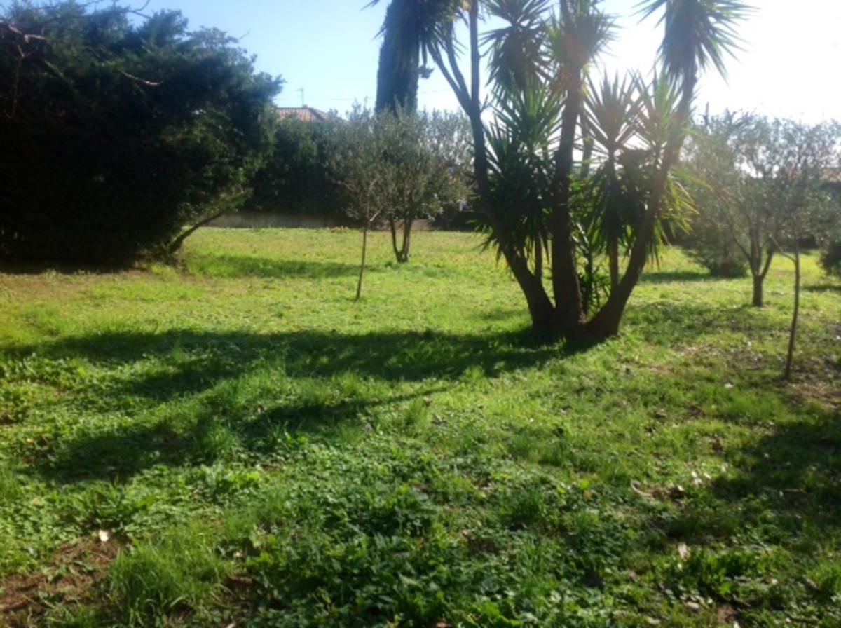 Terrain - Toulon