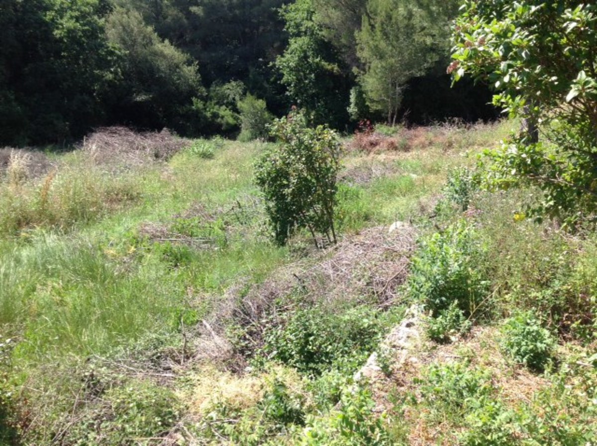 Terrain - Ollioules