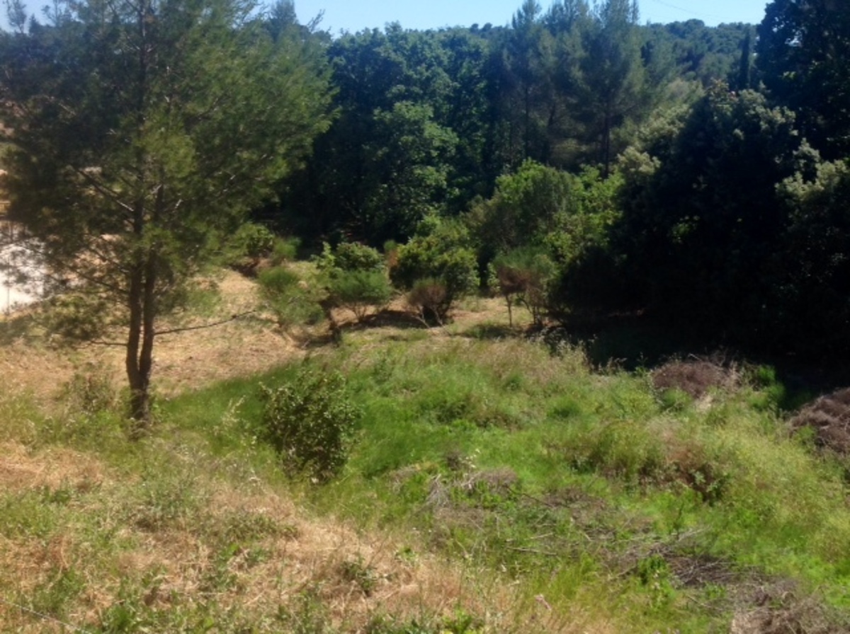 Terrain - Ollioules