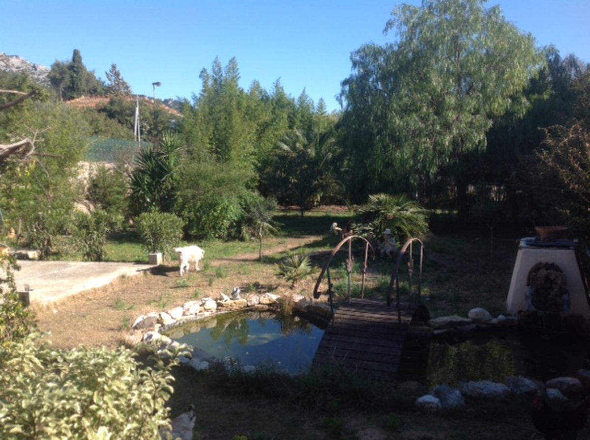 Terrain - TOULON