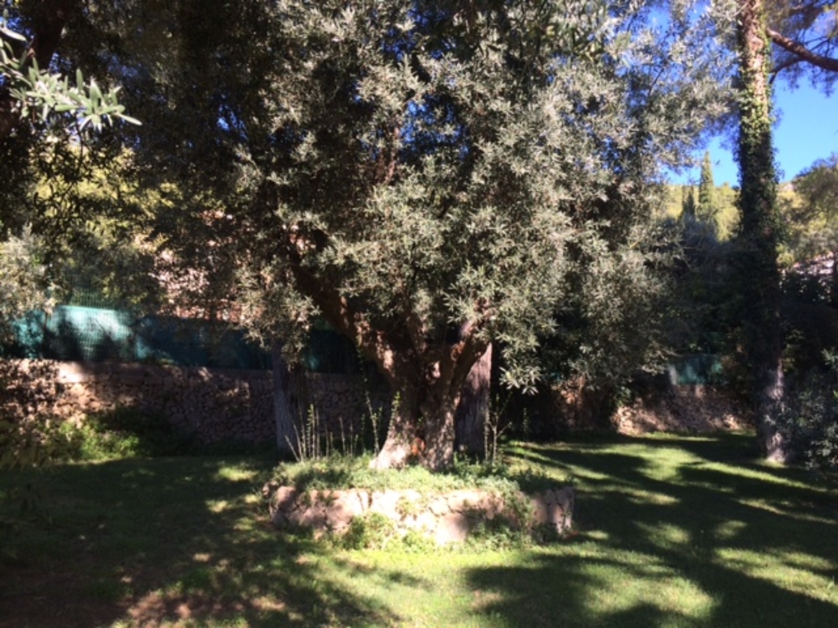 Terrain - TOULON OUEST