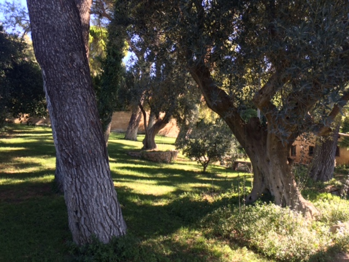 Terrain - TOULON OUEST
