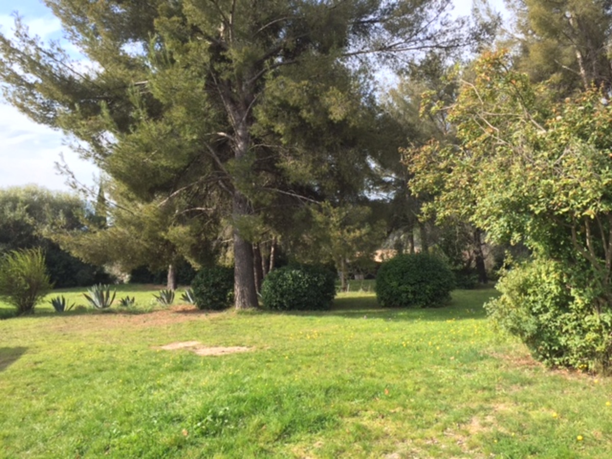 Terrain - OLLIOULES