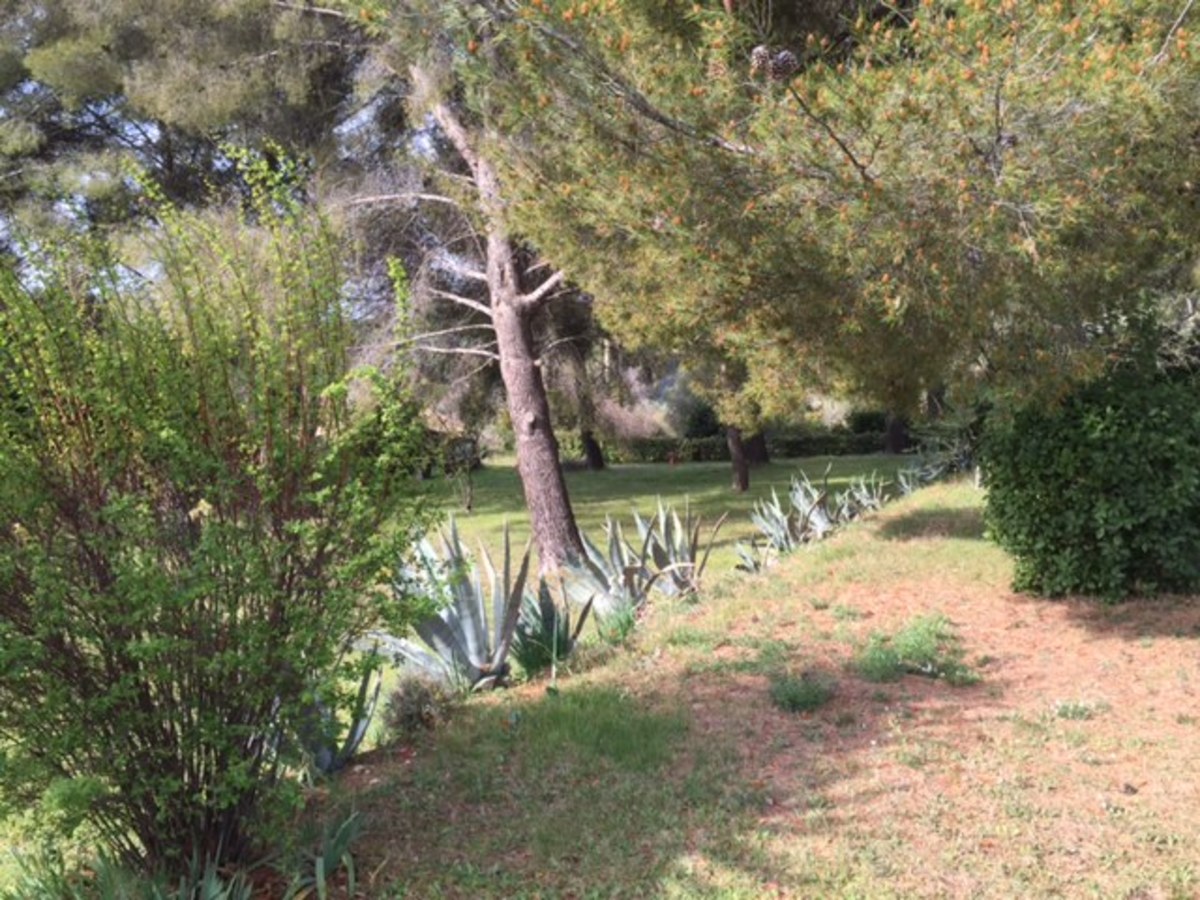 Terrain - OLLIOULES