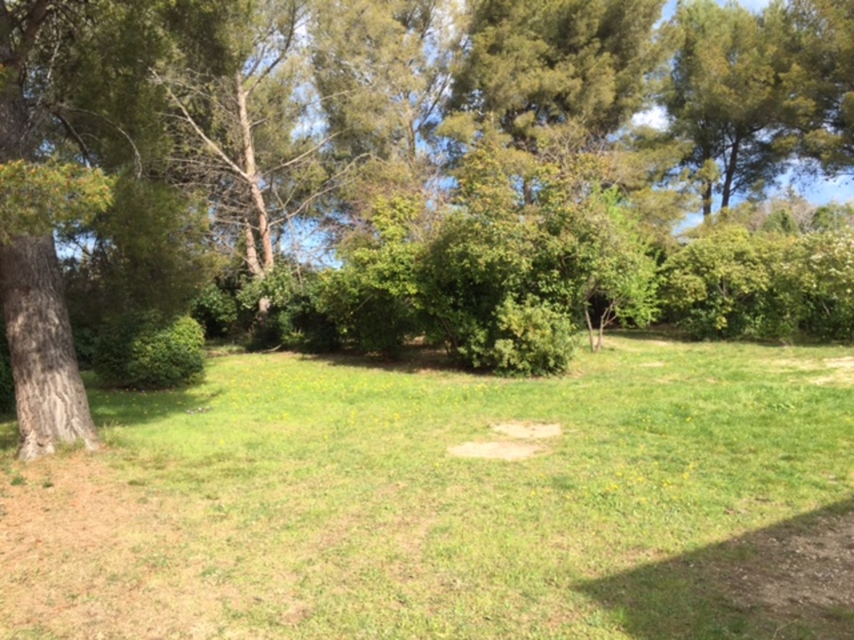 Terrain - OLLIOULES