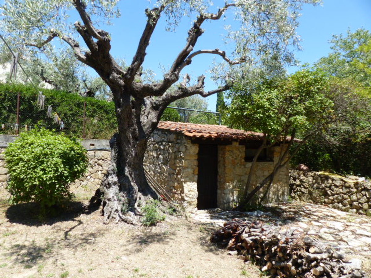 Maison-Villa - TOULON OUEST