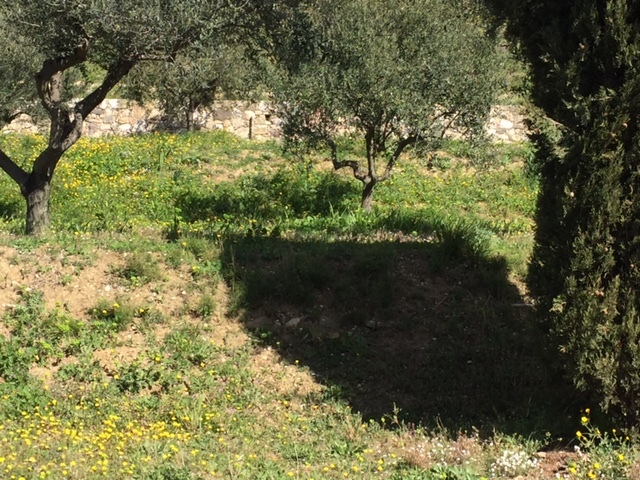 Terrain - 