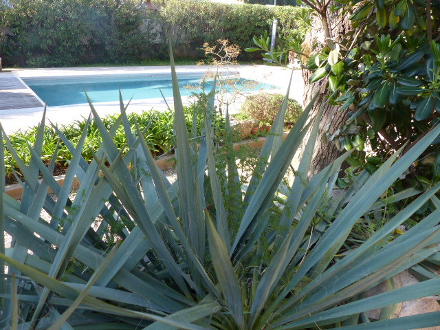Maison-Villa - TOULON OUEST