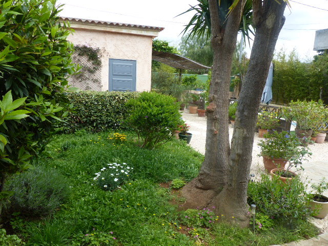 Maison-Villa - TOULON