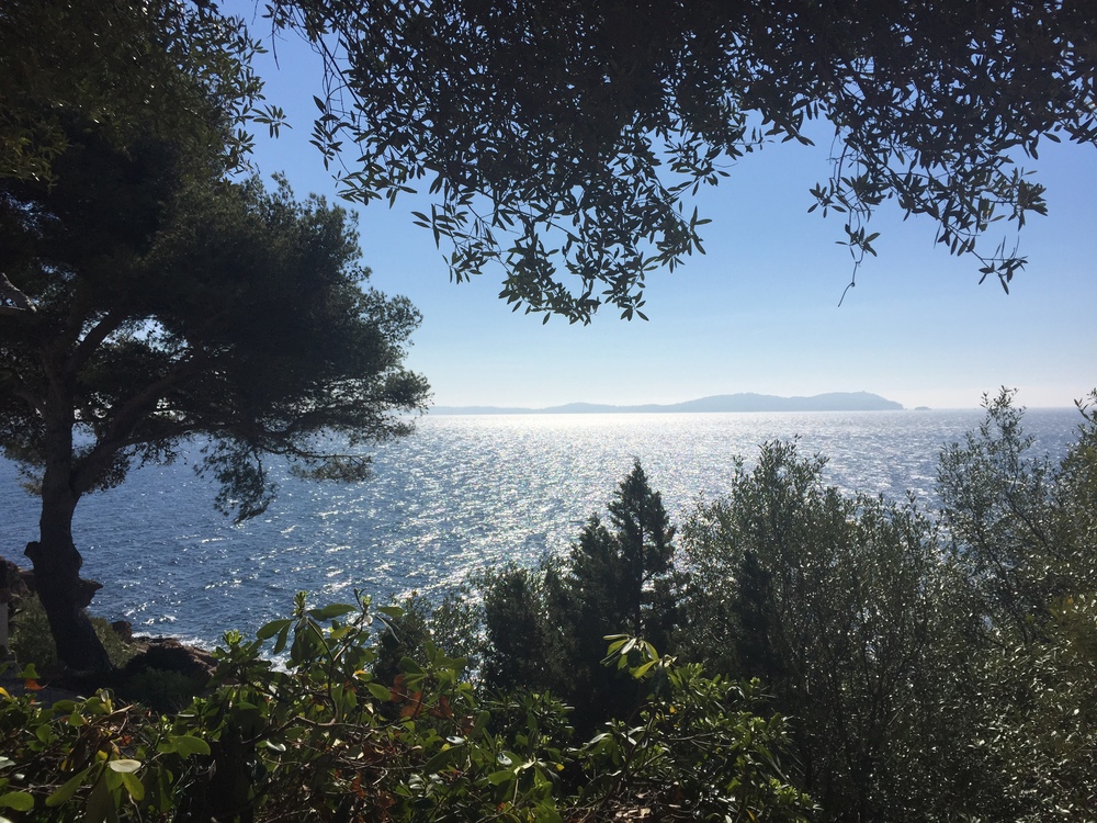 Terrain - CARQUEIRANNE