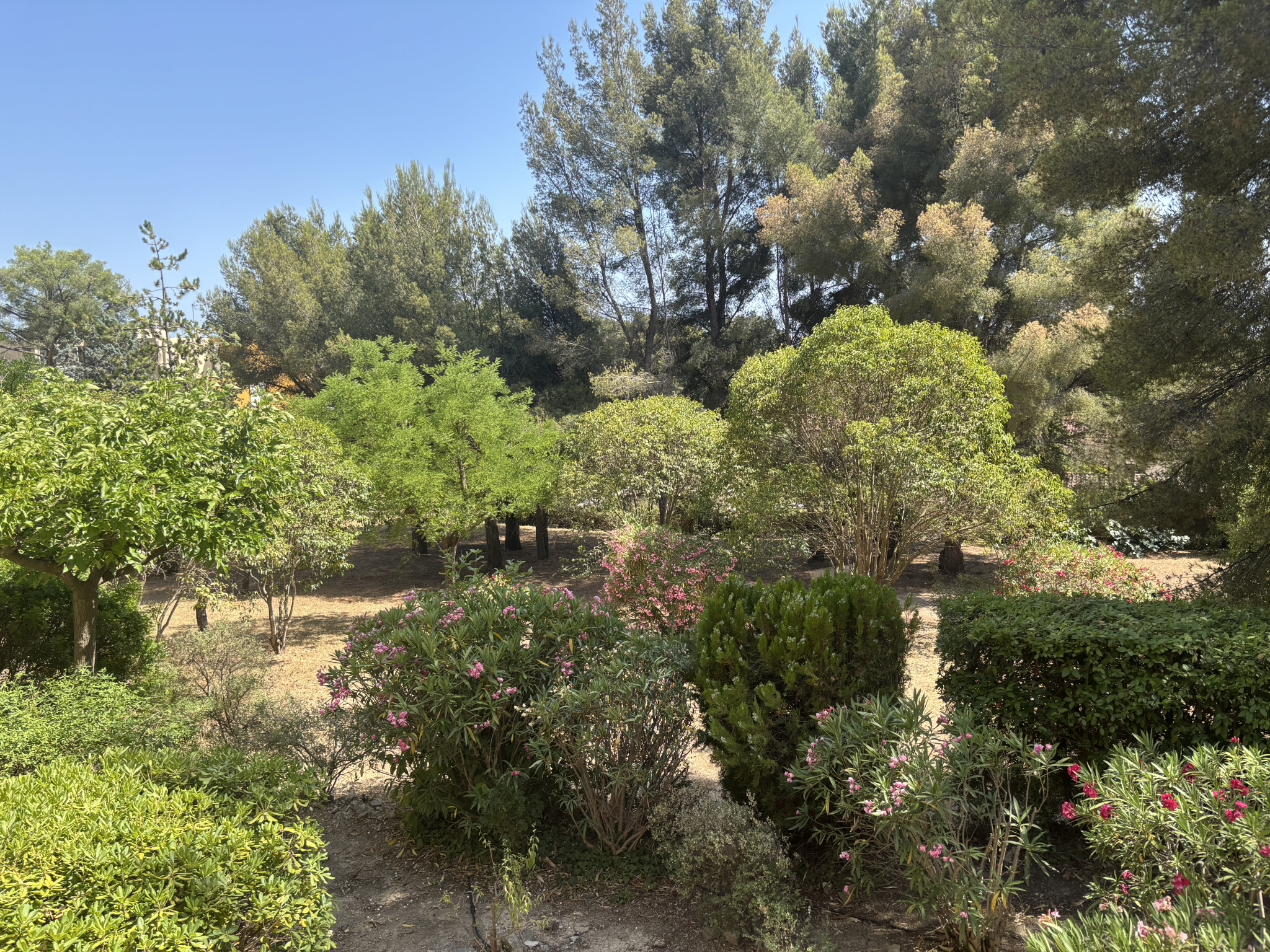 Appartement - Toulon