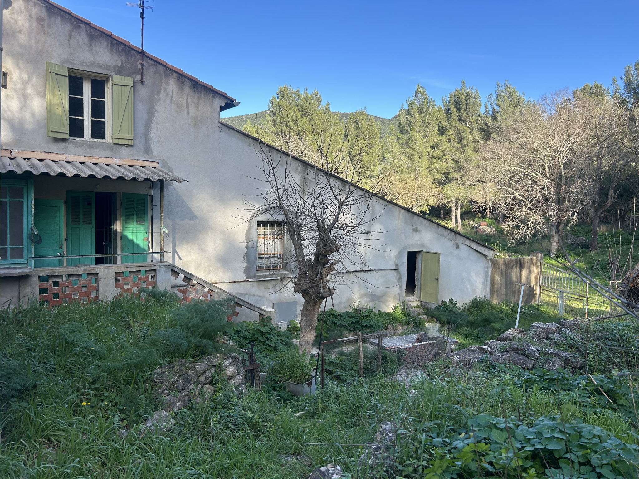 Maison-Villa - Toulon